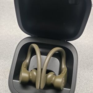 Beats Powerbeats Pro Wireless Earbuds - Olive Green